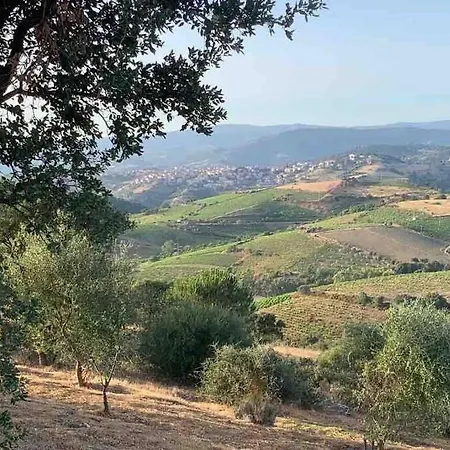 Casa Vacanza Di Paola Tatil Evi Meana Sardo